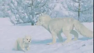 Foxes