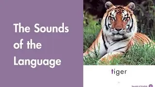 Part 3: The Sounds of the Language