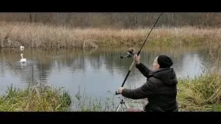 на Щару фидерная рыбалка! Рыбалка на реке Щара. От Н6