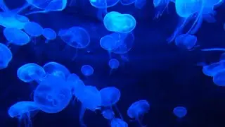 Deep Sleep Inducing Music | Stress and Anxiety Relief | 432hz Release Melatonin | Just You & Peace