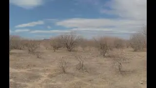 Arizona Desert VR 180 6k (5.7) 3d