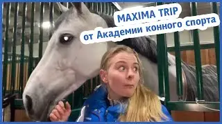 Maxima trip от Академии конного спорта