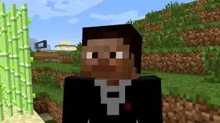 Life of a Minecraft Server Admin