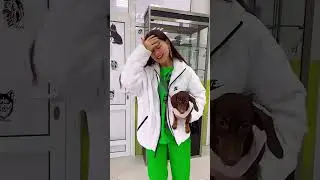 ТОСЮ УКУСИЛА ЗЛАЯ СОБАКА