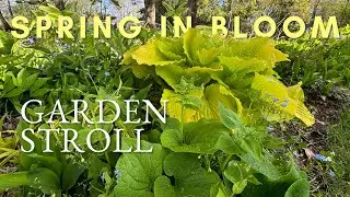 Weekly garden stroll 🌿 May 12, 2024