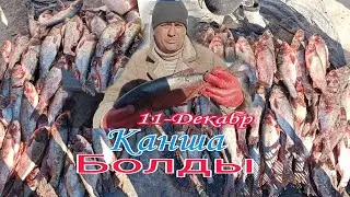 11-Декабр/2022/Шымбай Балык Базары/Shimbay Baliq Bazar/Балык Базар/Рыба/Рыбалка