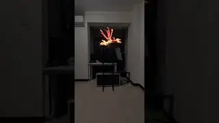 3D голограмма                                                   