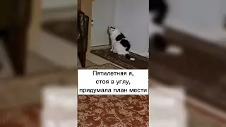 Пятилетняя я придумала план мести