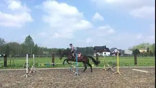 IMG 10911