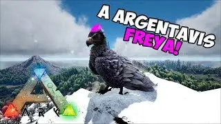 ARK PaD: VIDA DE ARGENTAVIS  ep.01 --- COMEÇANDO UMA VIDA AÉREA!!