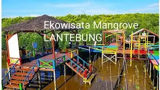 Wow - Keindahan Ekowisata Mangrove Lantebung | Makassar