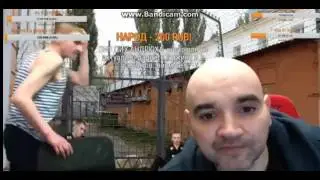 Мопс упал со стула