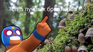 Топ 5 лучших бравлеров