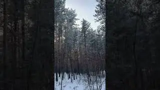 22 января 2022 г.