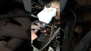 Checking the oil pressure in a Gazelle ZMZ 406