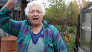 Экскурсия по  даче   Александры Михайловны, Комсомольск-на-Печоре, сентябрь 2020