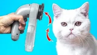 12 UNGLAUBLICHE WERKZEUGE UND SPIELSACHEN, DIE IHRE KATZE GERADE BRAUCHTE