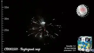 СП1002501   Подводный мир
