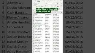 See what CTRL + Shift + L in Excel does... 