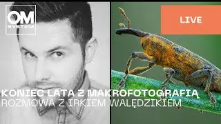 Polish | Koniec lata z makrofotgrafią - Rozmowa z Irkiem Walędzikiem