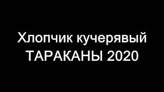 Хлопчик кучерявый - ТАРАКАНЫ 2020