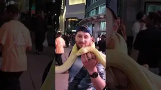 1st Time Holding Snake 🐍  #shorts #Snake #Toronto