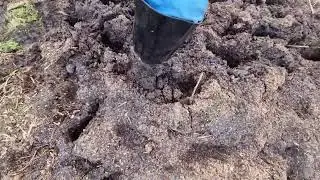 Лаковые ботфорты в грязи (2)