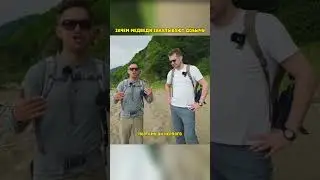 Почему медведи закапывают добычу?