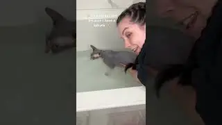 Bath time routine with Luna #sphynxcat #shorts