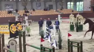 Stenbækgårds Mojito, 5 years Final 2018