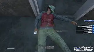 Dayz twitch kesitler