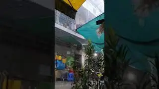 Raining...