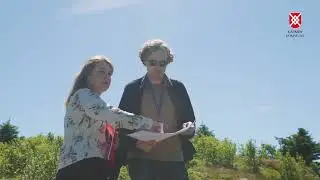 Arealplanlegger Elina Jøsang Nilsen