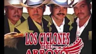 Ciclones Del Arroyo   El Músico Chiflado