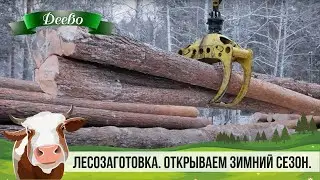 ЛЕСОЗАГОТОВКА. ОТКРЫВАЕМ ЗИМНИЙ СЕЗОН.