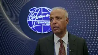 Сайфул Хок о IX «Примаковских чтениях»