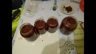 Живое желе из клюквы  Приготовление