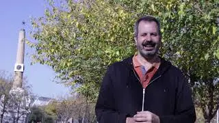 El vórtice de fuego NOV 2020