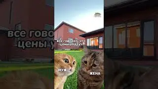 Кто за то что бы ждать ?