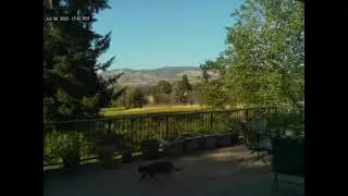 Sun 2025.06.08 Talent Oregon Webcam Timelapse