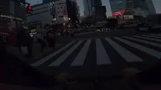 SIBUYA Flow