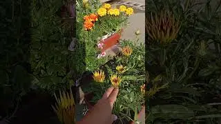 Продаю и не жалею 89086553950Елена