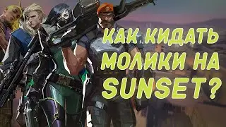 ПОСТПЛЭНТ за БРИМА ВАЙПЕР СОВУ и ГЕККО на SUNSET