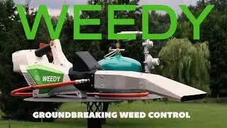 The Weedy