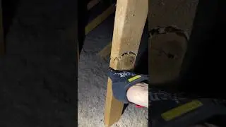 Free Builder Upgrades