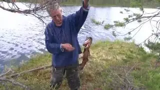 Эту щуку пожевал какой-то монстр.