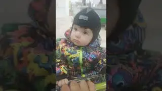 5 ноября 2023 г.