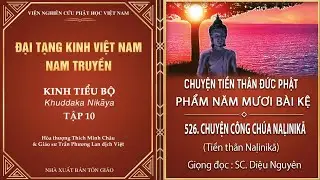 ĐẠI TẠNG KINH - PHẨM NĂM MƯƠI BÀI KỆ - CHUYỆN CÔNG CHÚA NAḶINIKĀ (Tiền thân Naḷinikā)