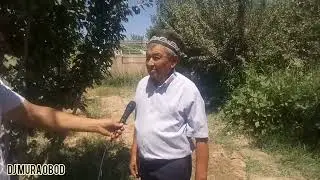 Янток илдизига пайванд килинган Тарвузлар