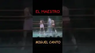 Miguel Canto - El Maestro #boxing  #boxen  #boxeo  #miguelcanto #boxeomexicano